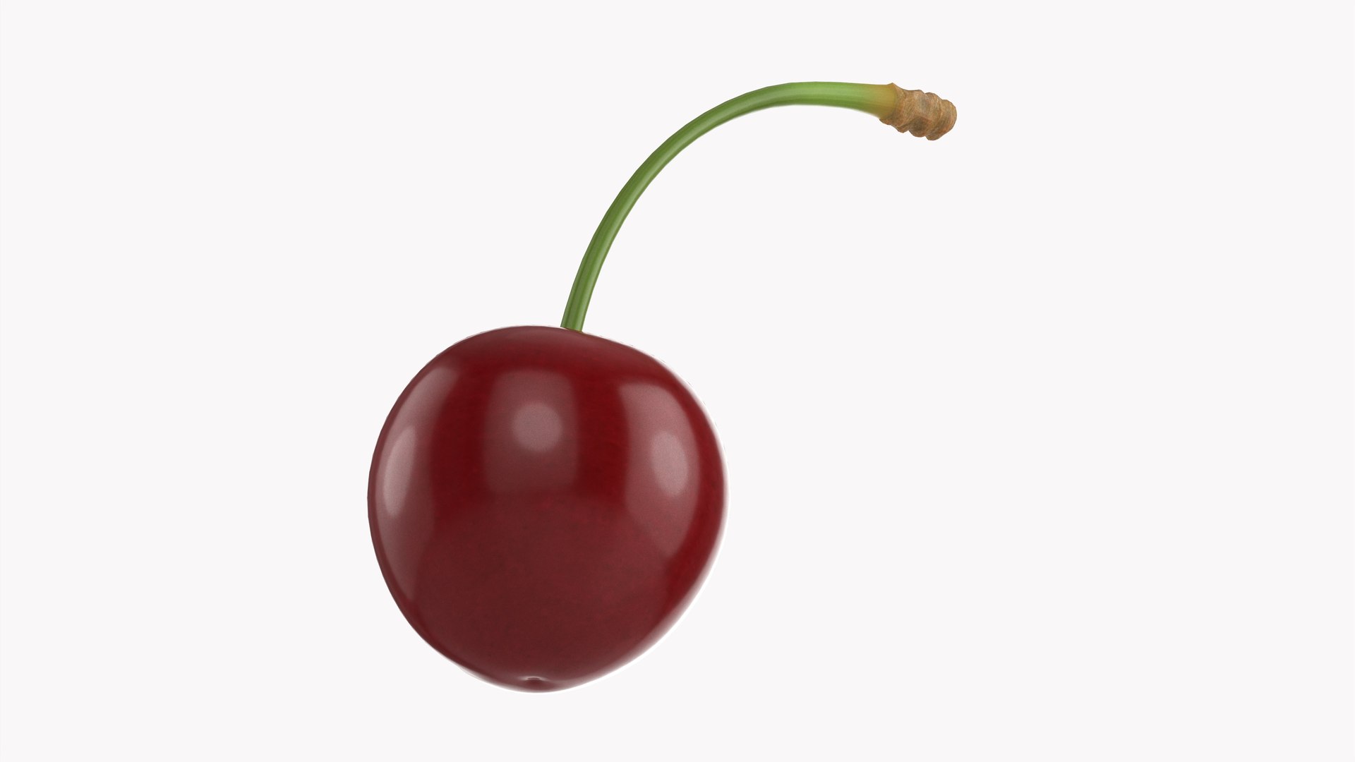 Cherry single model https://p.turbosquid.com/ts-thumb/mD/dISXPb/SO/004/jpg/1633014214/1920x1080/fit_q87/e83e58447afefb882bc7021463d4580937ff2e91/004.jpg
