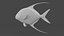 Peixe Threadfin