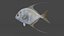 Peixe Threadfin