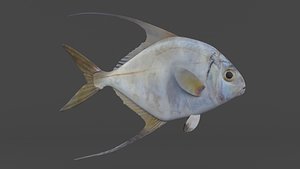 Threadfin Fish 3D