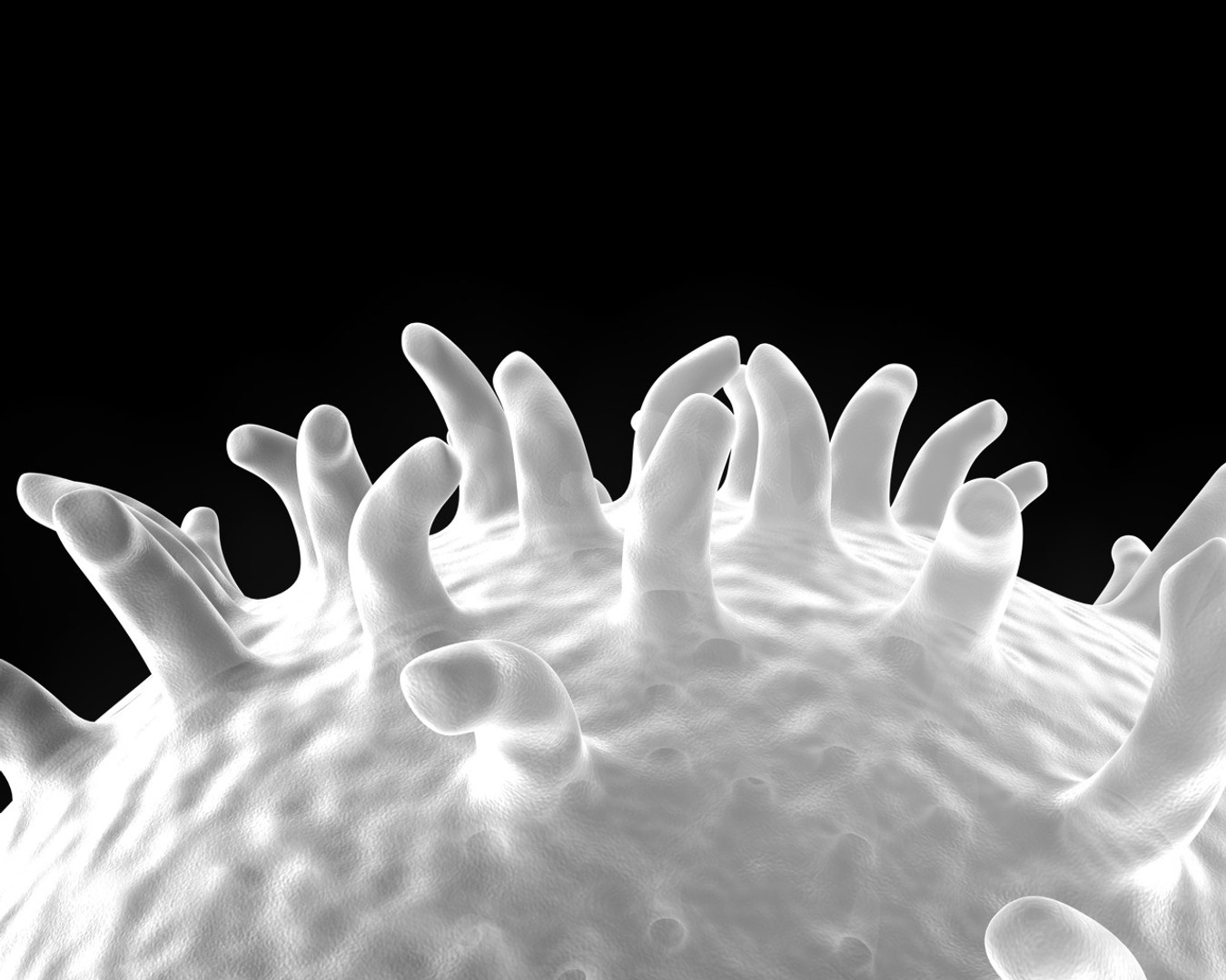 lymphocyte 3d model