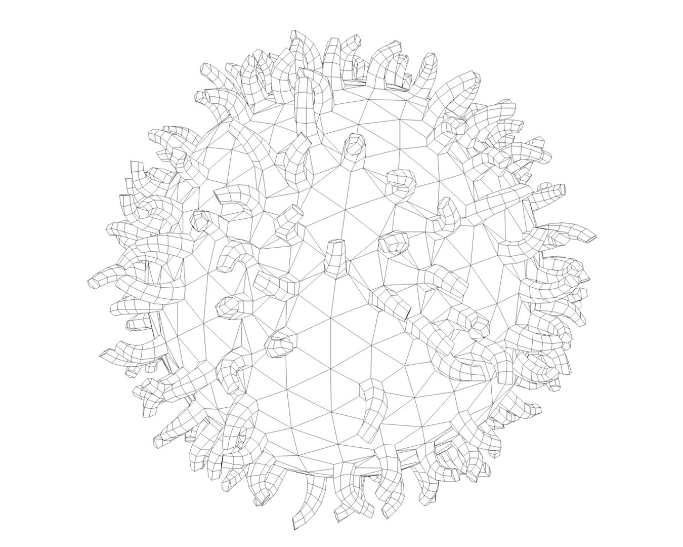 lymphocyte 3d model