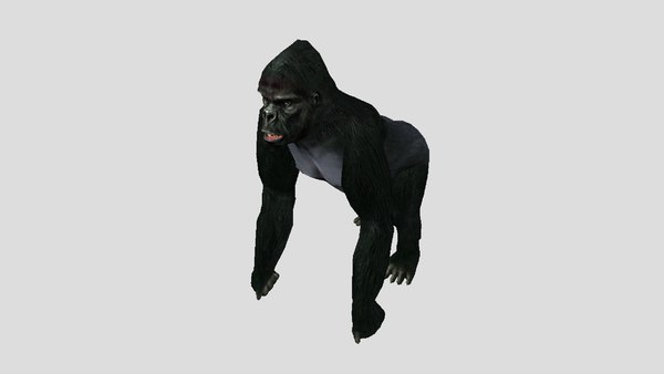 Gorilla 3D Models for Download | TurboSquid