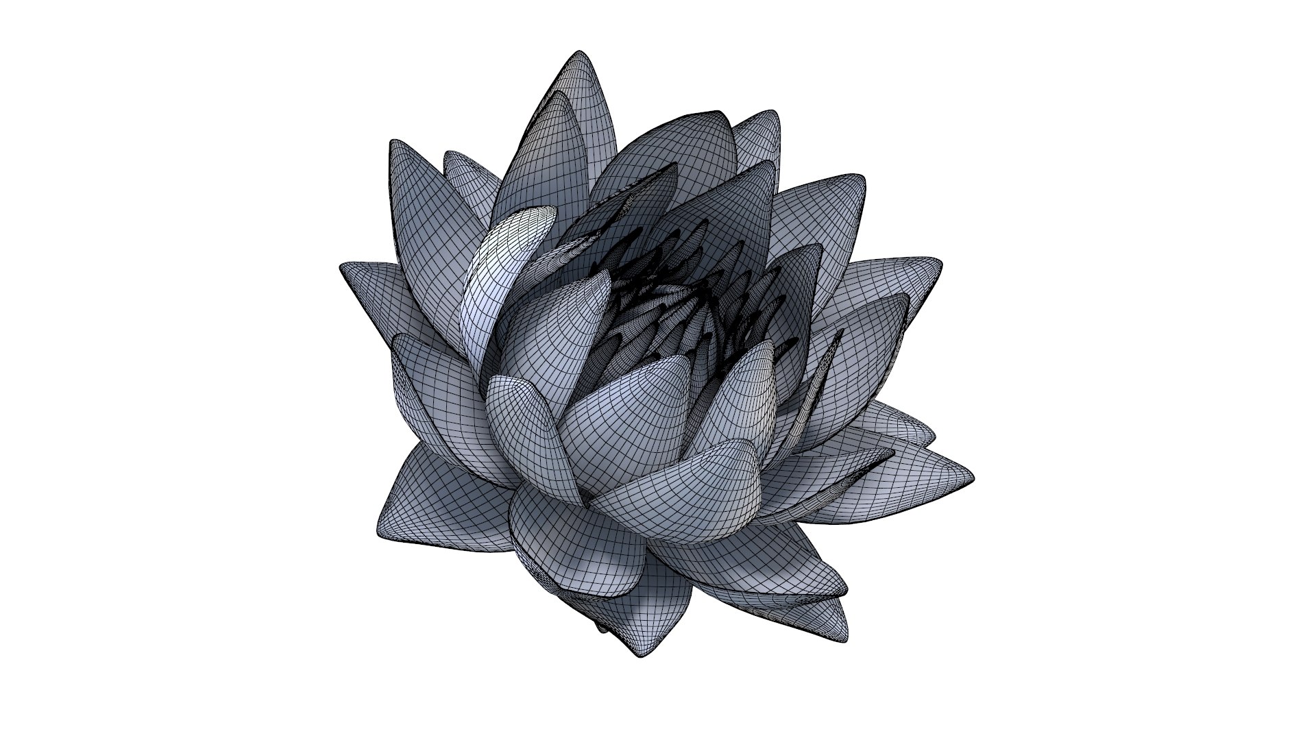 3D Realistic Nymphaea Siam White 3D Model - High-Quality 4K PBR Asset https://p.turbosquid.com/ts-thumb/mD/pyoi3B/3I/wire_2/jpg/1741288561/1920x1080/fit_q87/6d993ea96ee07e708e02807f6786555d9b73b728/wire_2.jpg