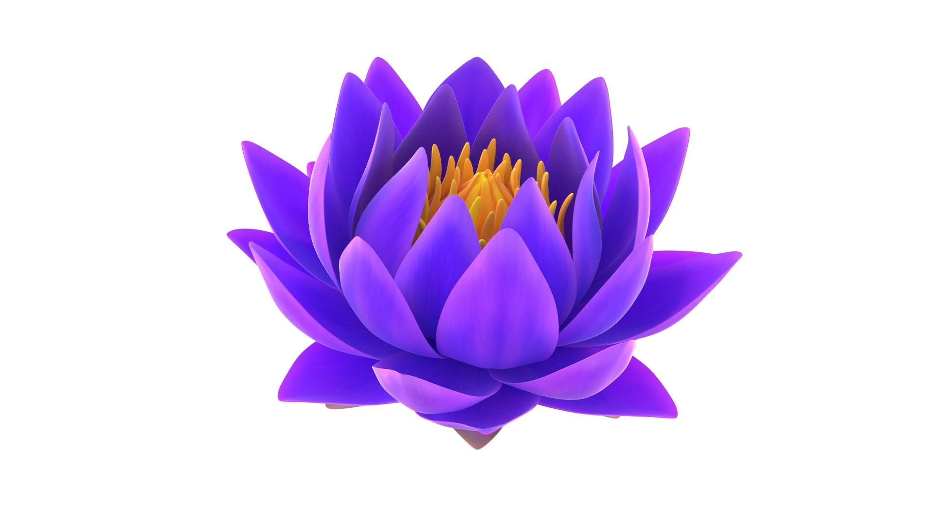 3D Realistic Nymphaea Siam White 3D Model - High-Quality 4K PBR Asset https://p.turbosquid.com/ts-thumb/mD/pyoi3B/5B/6/jpg/1741288559/1920x1080/fit_q87/8d91ee2128169398f56751a6488adfc0093e0505/6.jpg