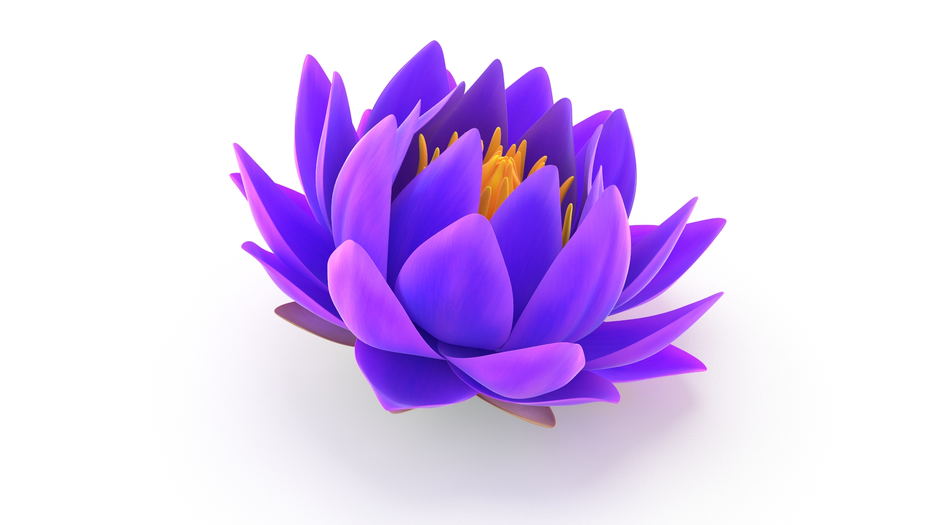 3D Realistic Nymphaea Siam White 3D Model - High-Quality 4K PBR Asset https://p.turbosquid.com/ts-thumb/mD/pyoi3B/FW/r/jpg/1741288612/1920x1080/turn_fit_q99/9f488589119a78525db4ea1b05d465eb66aee2a8/r-1.jpg