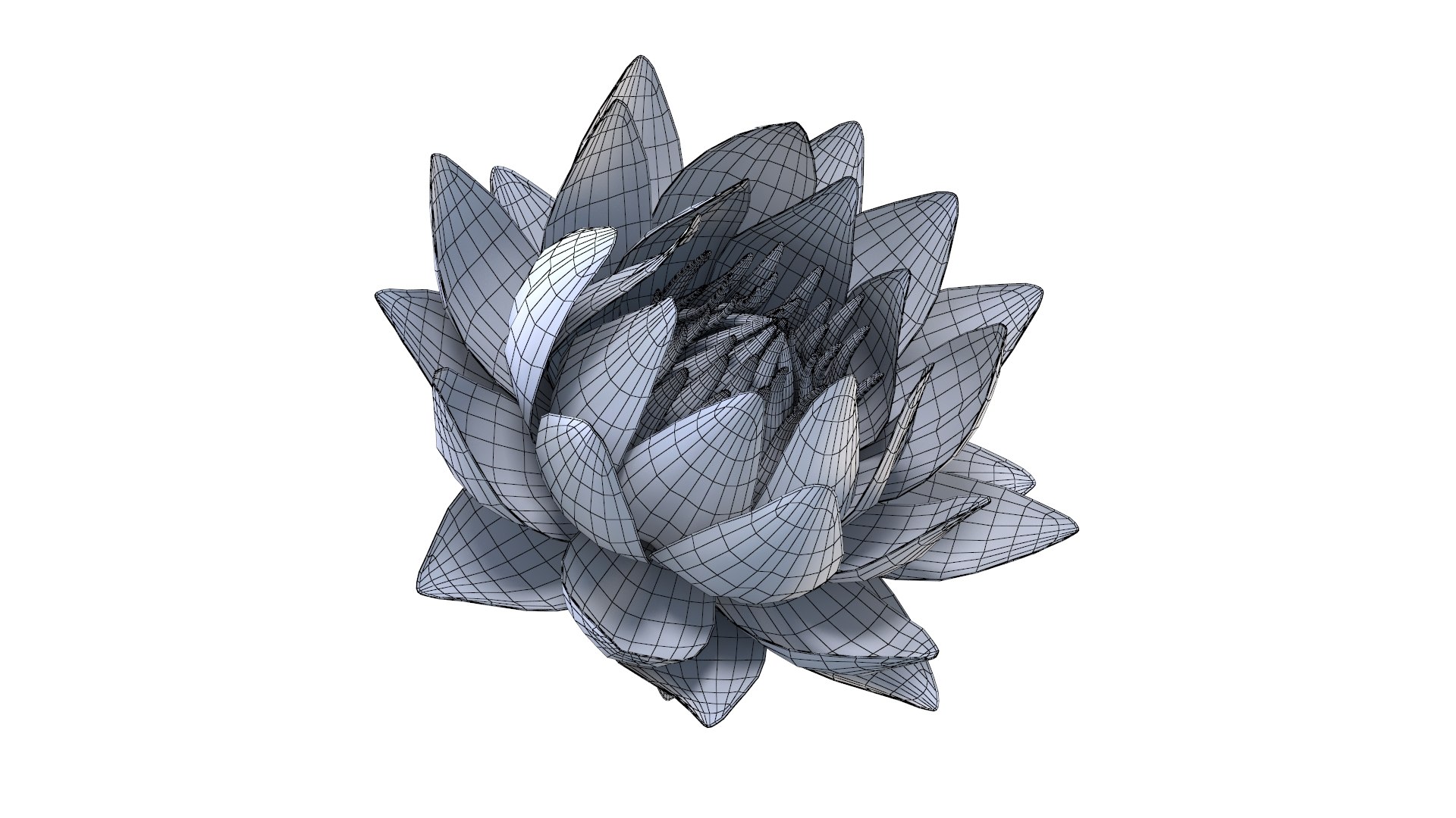 3D Realistic Nymphaea Siam White 3D Model - High-Quality 4K PBR Asset https://p.turbosquid.com/ts-thumb/mD/pyoi3B/Fe/wire_1/jpg/1741288560/1920x1080/fit_q87/f0c845feb16def00ffbac50b2a2d9e1c8d04de60/wire_1.jpg