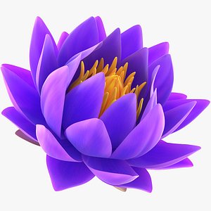 Realistic Nymphaea Siam White 3D Model - High-Quality 4K PBR Asset