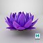 Realistic Nymphaea Siam White 3D Model - High-Quality 4K PBR Asset