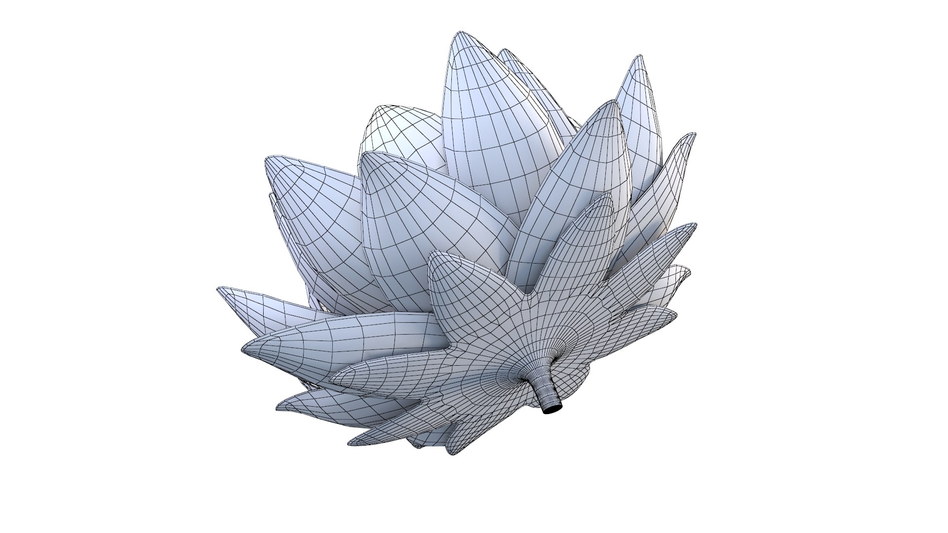 3D Realistic Nymphaea Siam White 3D Model - High-Quality 4K PBR Asset https://p.turbosquid.com/ts-thumb/mD/pyoi3B/s0/wire_3/jpg/1741288562/1920x1080/fit_q87/4e623e6217f3468c381b0c68e36b88b8bc73bc6f/wire_3.jpg