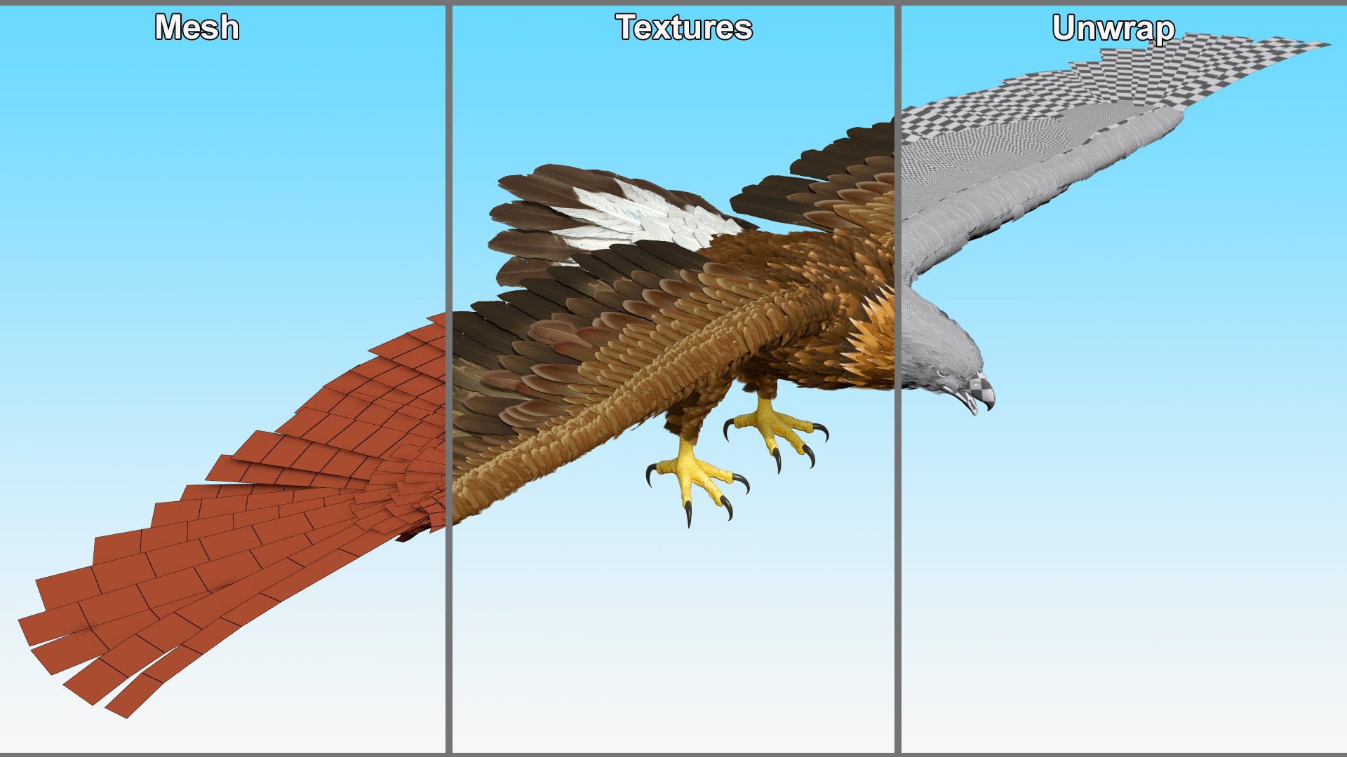 3D model Realistic Golden Eagle T Pose https://p.turbosquid.com/ts-thumb/mE/0ROYWs/6F/realisticgoldeneagletpose3dsmodel017/jpg/1719968453/1920x1080/fit_q87/50b5997b2e3a7263da26175fba3e6b677fdc54ed/realisticgoldeneagletpose3dsmodel017.jpg