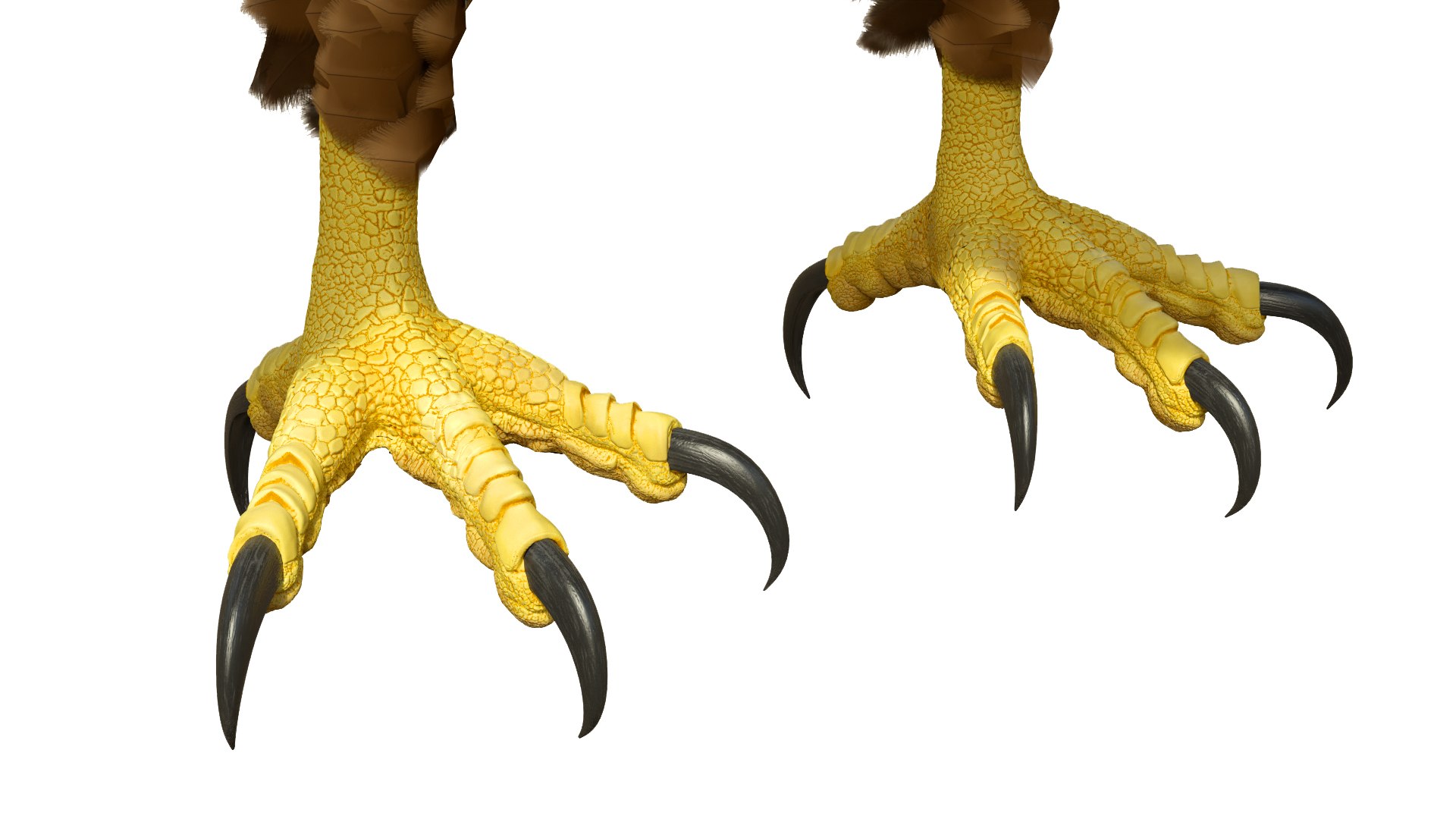 3D model Realistic Golden Eagle T Pose https://p.turbosquid.com/ts-thumb/mE/0ROYWs/8z/realisticgoldeneagletpose3dsmodel011/jpg/1719968417/1920x1080/fit_q87/5ec6e04614e5e310a694df0edf8584e08f40df6b/realisticgoldeneagletpose3dsmodel011.jpg