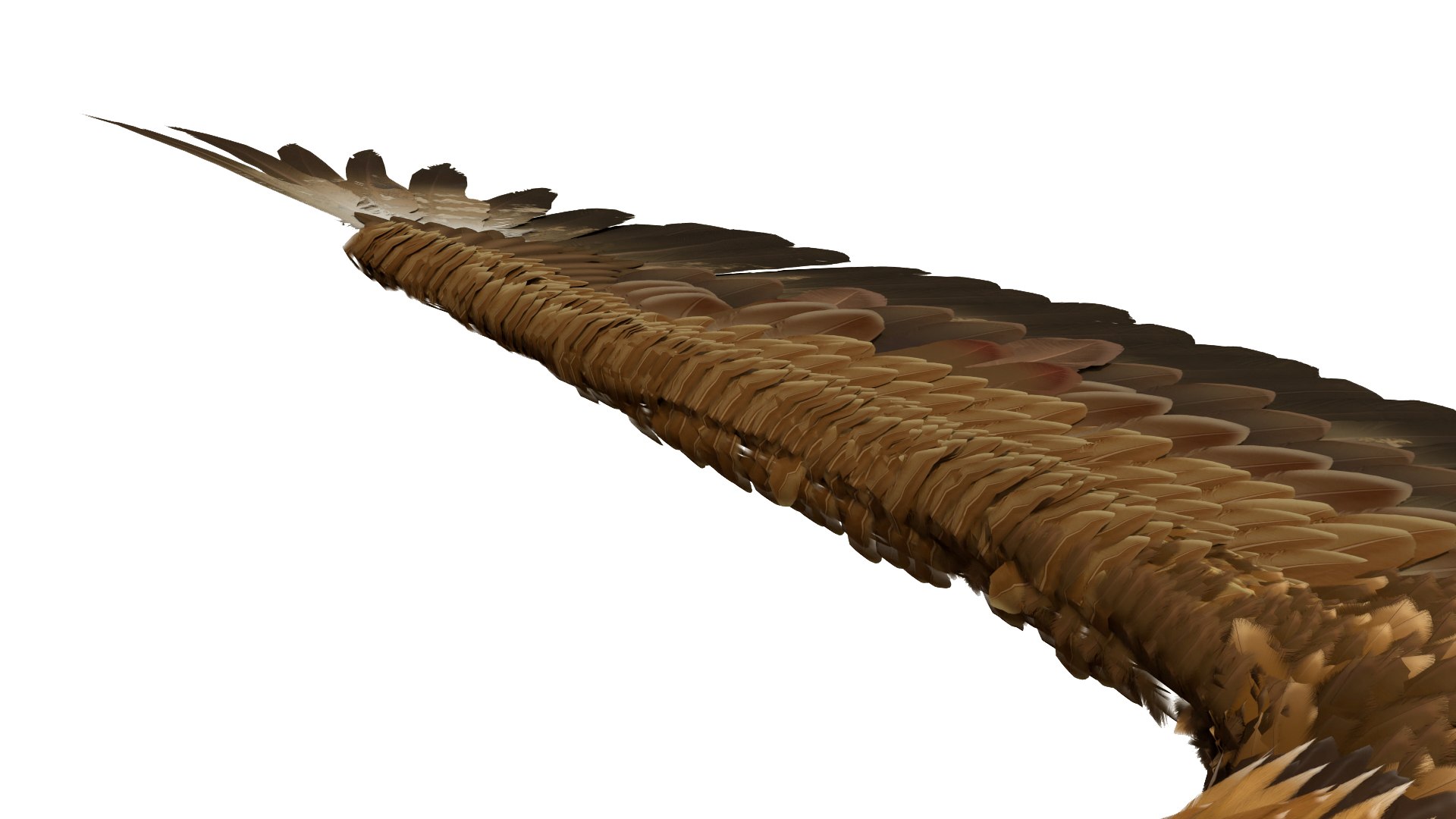 3D model Realistic Golden Eagle T Pose https://p.turbosquid.com/ts-thumb/mE/0ROYWs/LA/realisticgoldeneagletpose3dsmodel014/jpg/1719968436/1920x1080/fit_q87/f3236173d241c681274199c841527fd97ca46475/realisticgoldeneagletpose3dsmodel014.jpg
