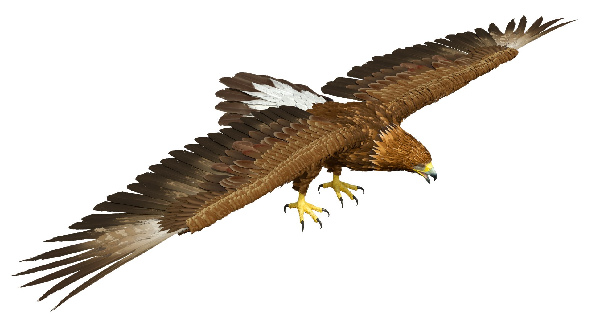 3D model Realistic Golden Eagle T Pose https://p.turbosquid.com/ts-thumb/mE/0ROYWs/Wm/realisticgoldeneagletpose3dsmodel007/jpg/1719968392/1920x1080/fit_q87/fa87e93e8dc0fe48b828967753aa6665f13bba2e/realisticgoldeneagletpose3dsmodel007.jpg