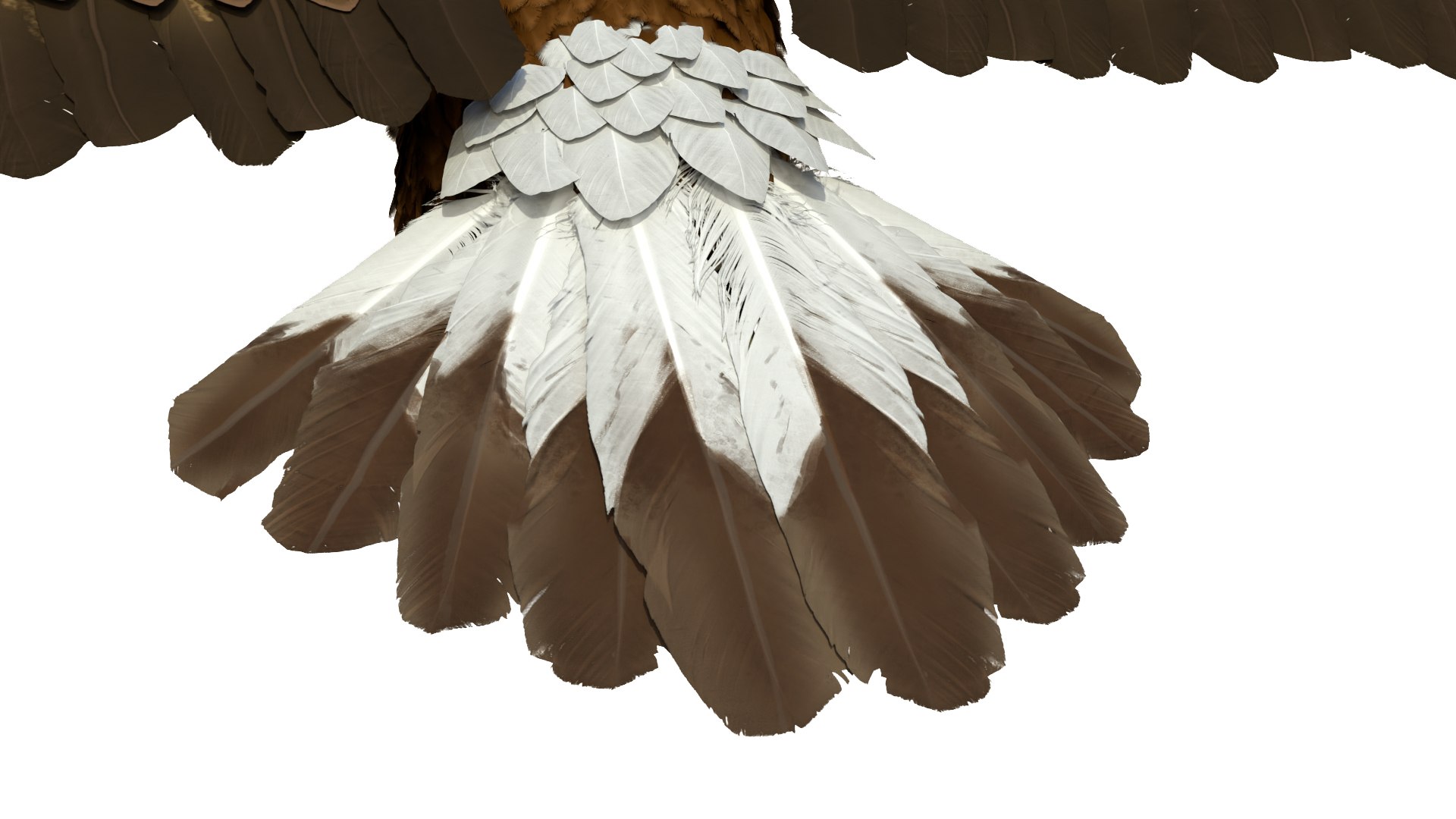 3D model Realistic Golden Eagle T Pose https://p.turbosquid.com/ts-thumb/mE/0ROYWs/YU/realisticgoldeneagletpose3dsmodel015/jpg/1719968442/1920x1080/fit_q87/43b211d10e964d1baf5db0f8b815fdf4fcddc9e3/realisticgoldeneagletpose3dsmodel015.jpg