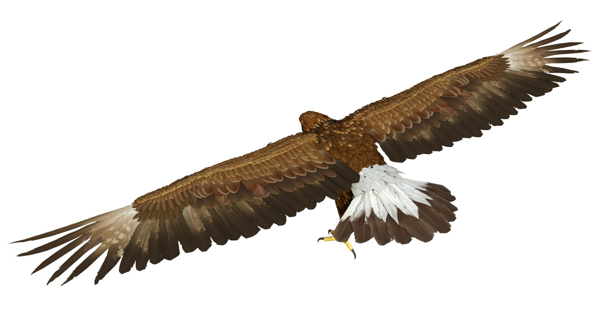 3D model Realistic Golden Eagle T Pose https://p.turbosquid.com/ts-thumb/mE/0ROYWs/ZS/realisticgoldeneagletpose3dsmodel008/jpg/1719968398/1920x1080/fit_q87/b06d36f9bb7356184e2c7b5d3322c83daf170a67/realisticgoldeneagletpose3dsmodel008.jpg