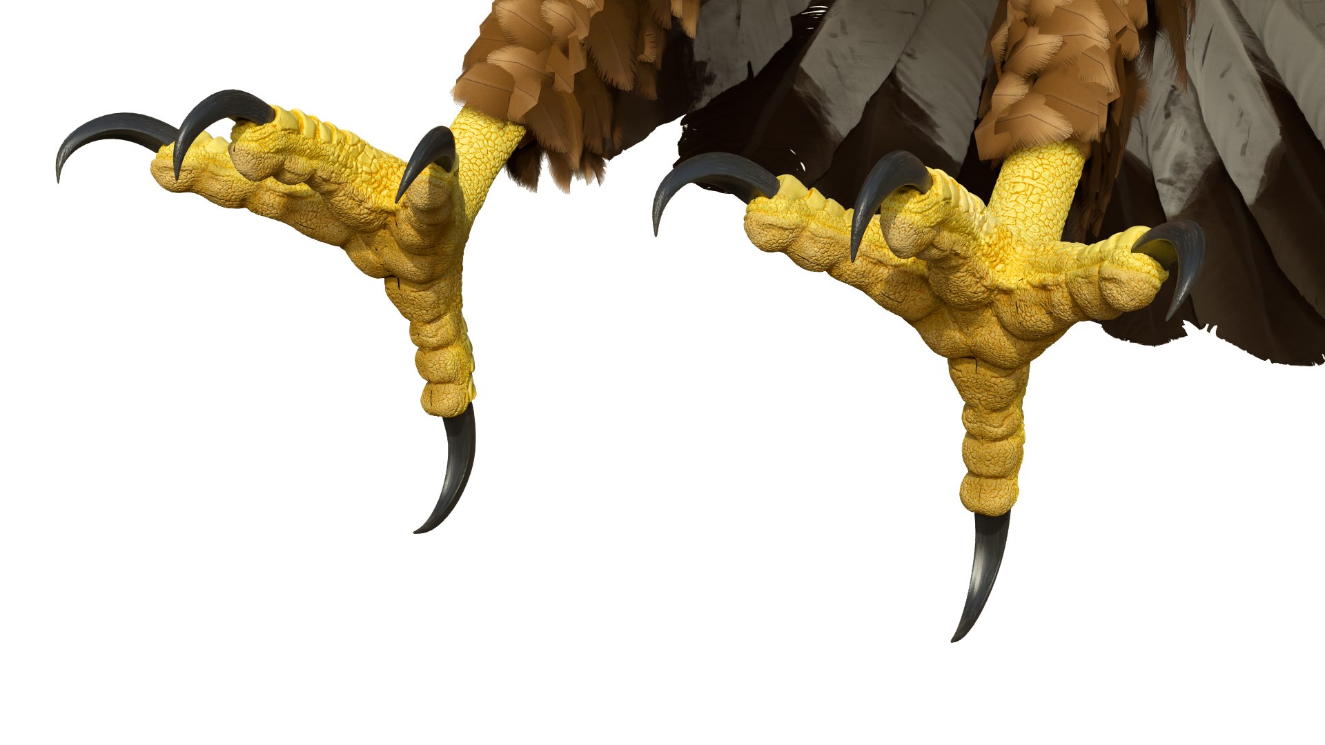 3D model Realistic Golden Eagle T Pose https://p.turbosquid.com/ts-thumb/mE/0ROYWs/jw/realisticgoldeneagletpose3dsmodel012/jpg/1719968424/1920x1080/fit_q87/b50bb6871c782f58398b4c77254f54f736d83e44/realisticgoldeneagletpose3dsmodel012.jpg