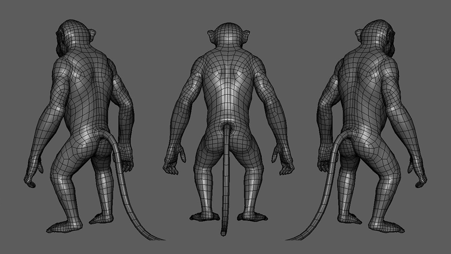monkey 3D model https://p.turbosquid.com/ts-thumb/mE/Qw4TXl/4U/5/jpg/1717658673/1920x1080/fit_q87/bc7f62cbdd3dfa1a81272ad3164e4c3818a88f43/5.jpg