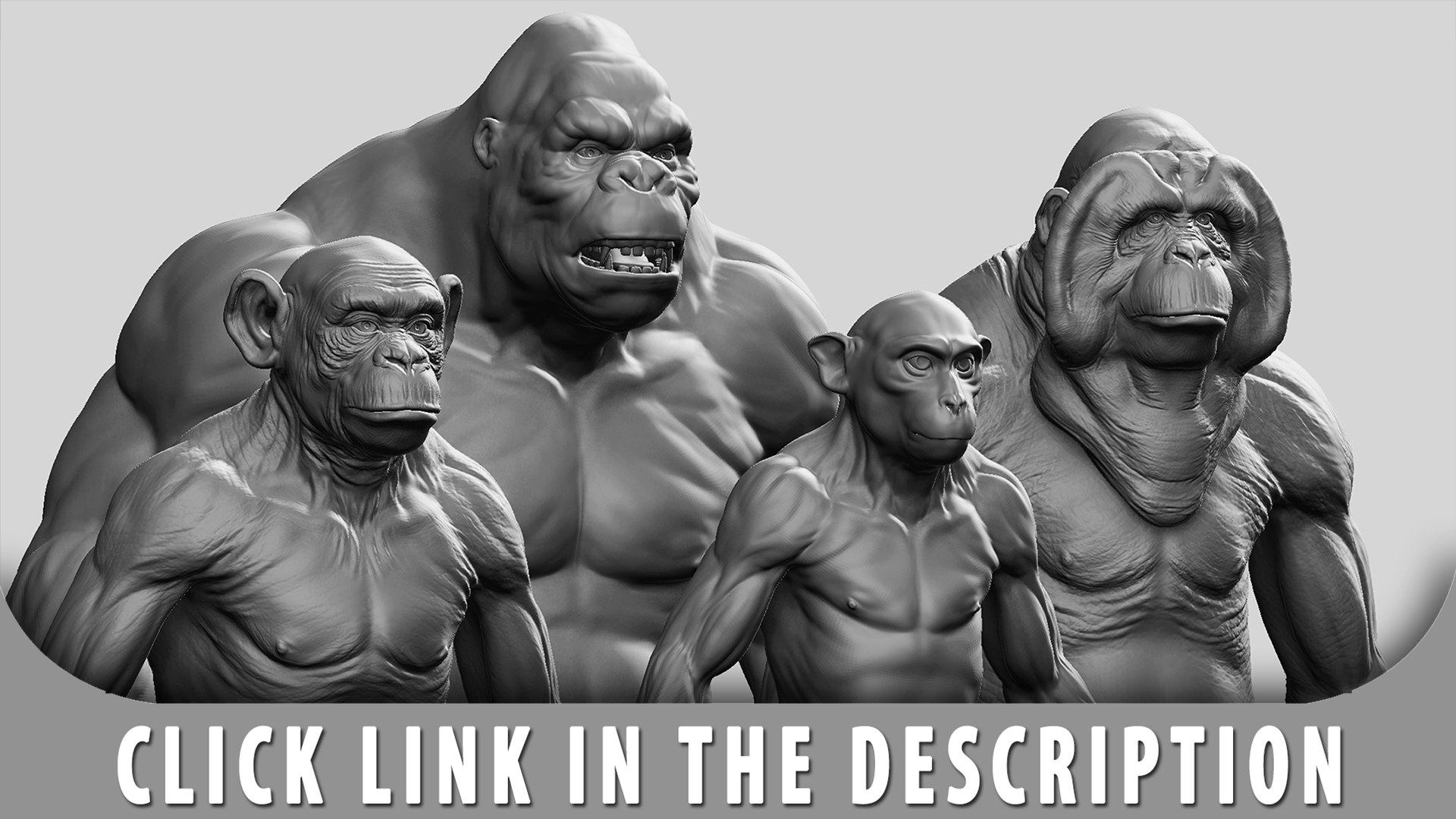 monkey 3D model https://p.turbosquid.com/ts-thumb/mE/Qw4TXl/7L/ape/jpg/1717658706/1920x1080/fit_q87/87424bf348feccbff88b703ef4aa7a89597fb36a/ape.jpg