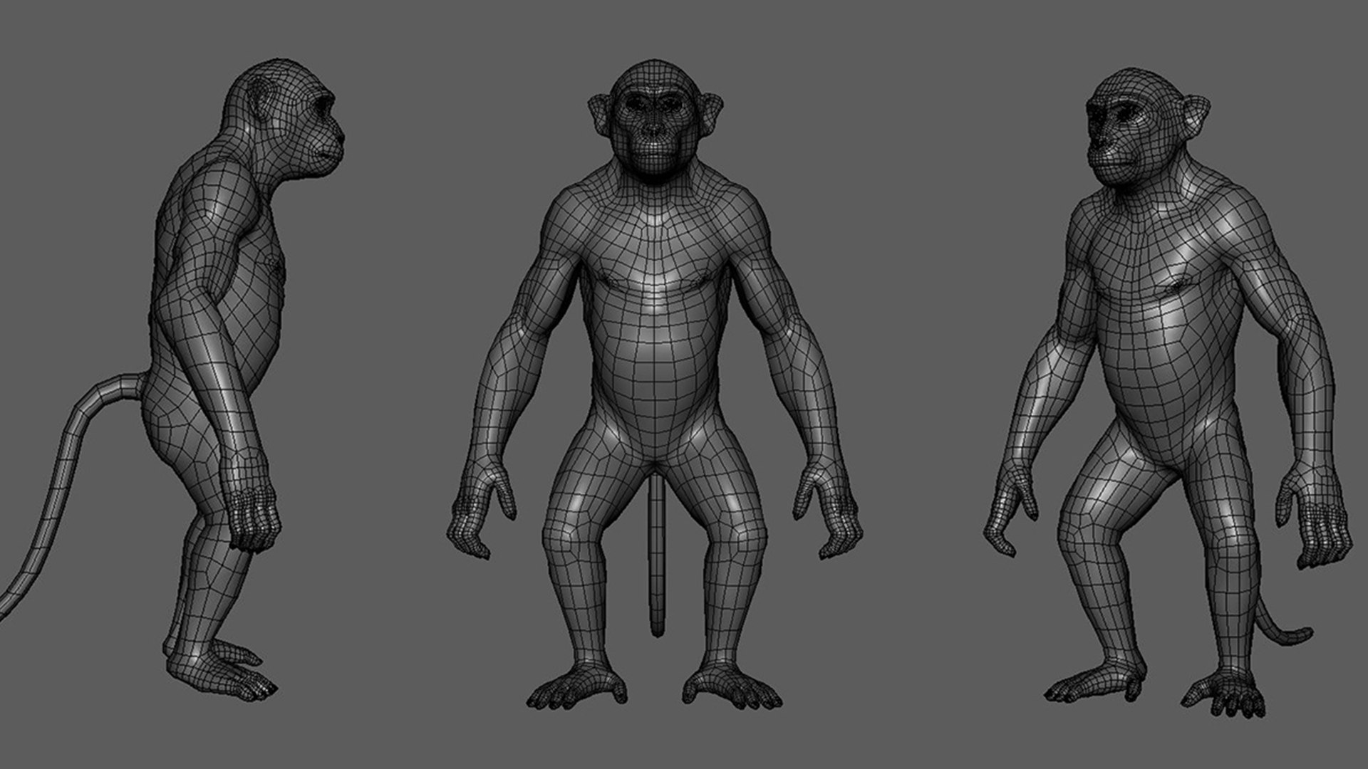 monkey 3D model https://p.turbosquid.com/ts-thumb/mE/Qw4TXl/J4/4/jpg/1717658672/1920x1080/fit_q87/d1f6a883c7bdb7fbd6230789a8e76fd123ae13a2/4.jpg