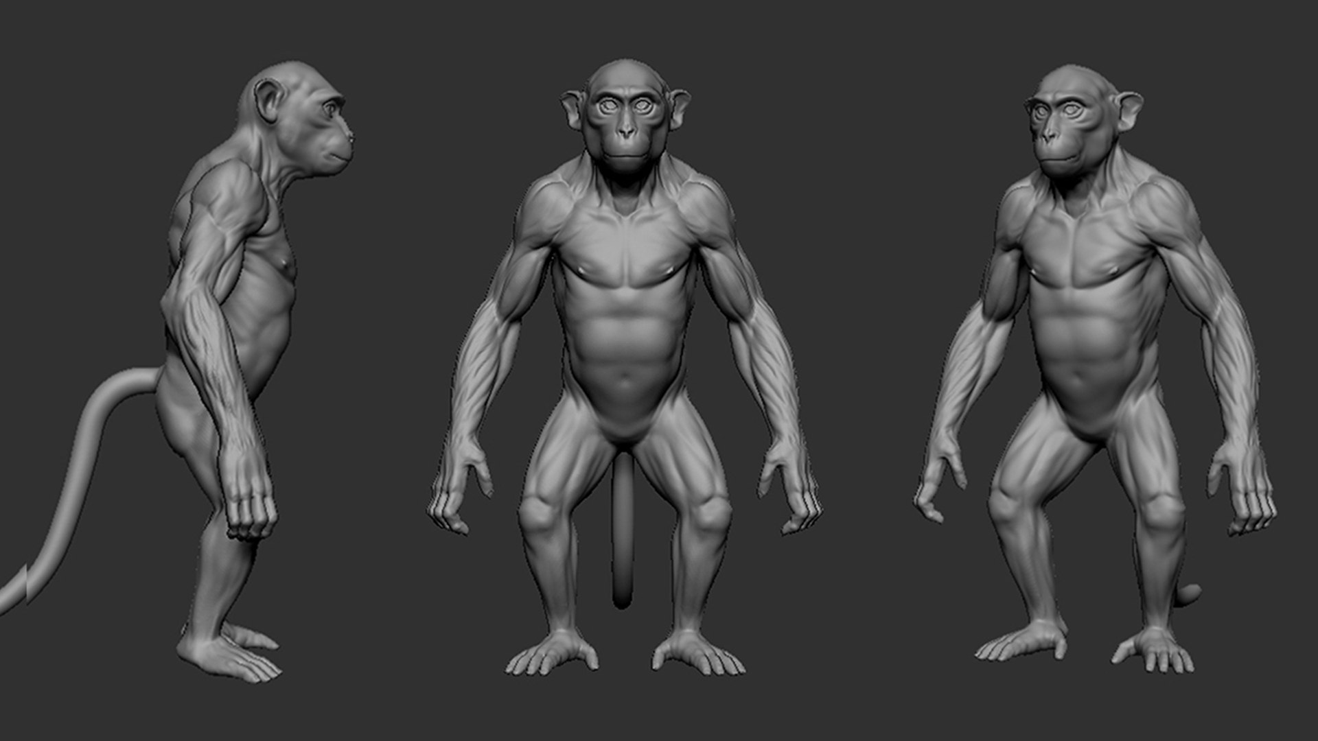 monkey 3D model https://p.turbosquid.com/ts-thumb/mE/Qw4TXl/Jk/2/jpg/1717658670/1920x1080/fit_q87/5f5a75860910315e3dafea73594b6d2408926f05/2.jpg