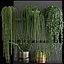 Vertical gardening on wall shelves 61
