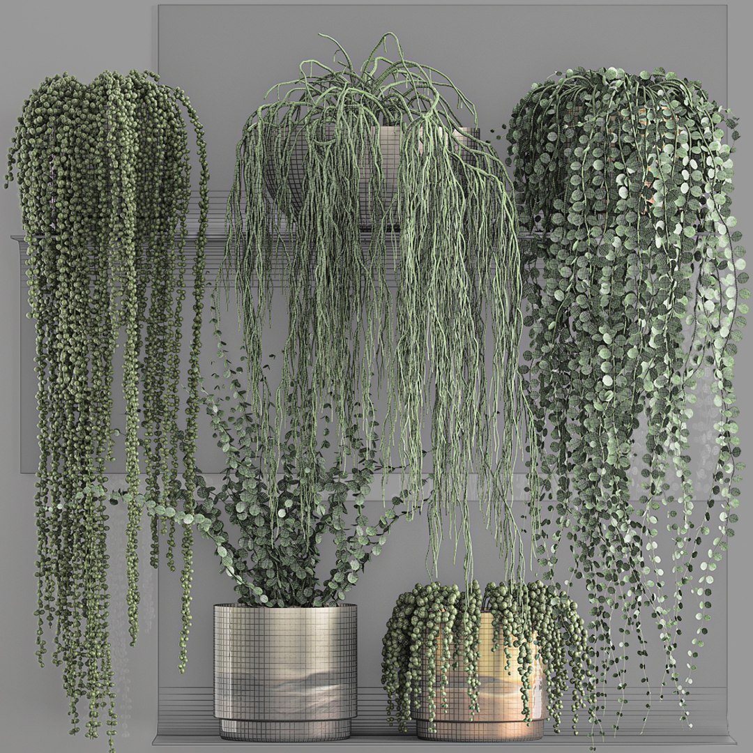 vertical gardening wall shelves 3D model https://p.turbosquid.com/ts-thumb/mE/UvUkbV/BEYKVxJu/plant1205202008/jpg/1589373276/1920x1080/fit_q87/9b8becfaf61160b4a10c59518bc77e2021f106b1/plant1205202008.jpg