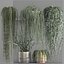 Vertical gardening on wall shelves 61