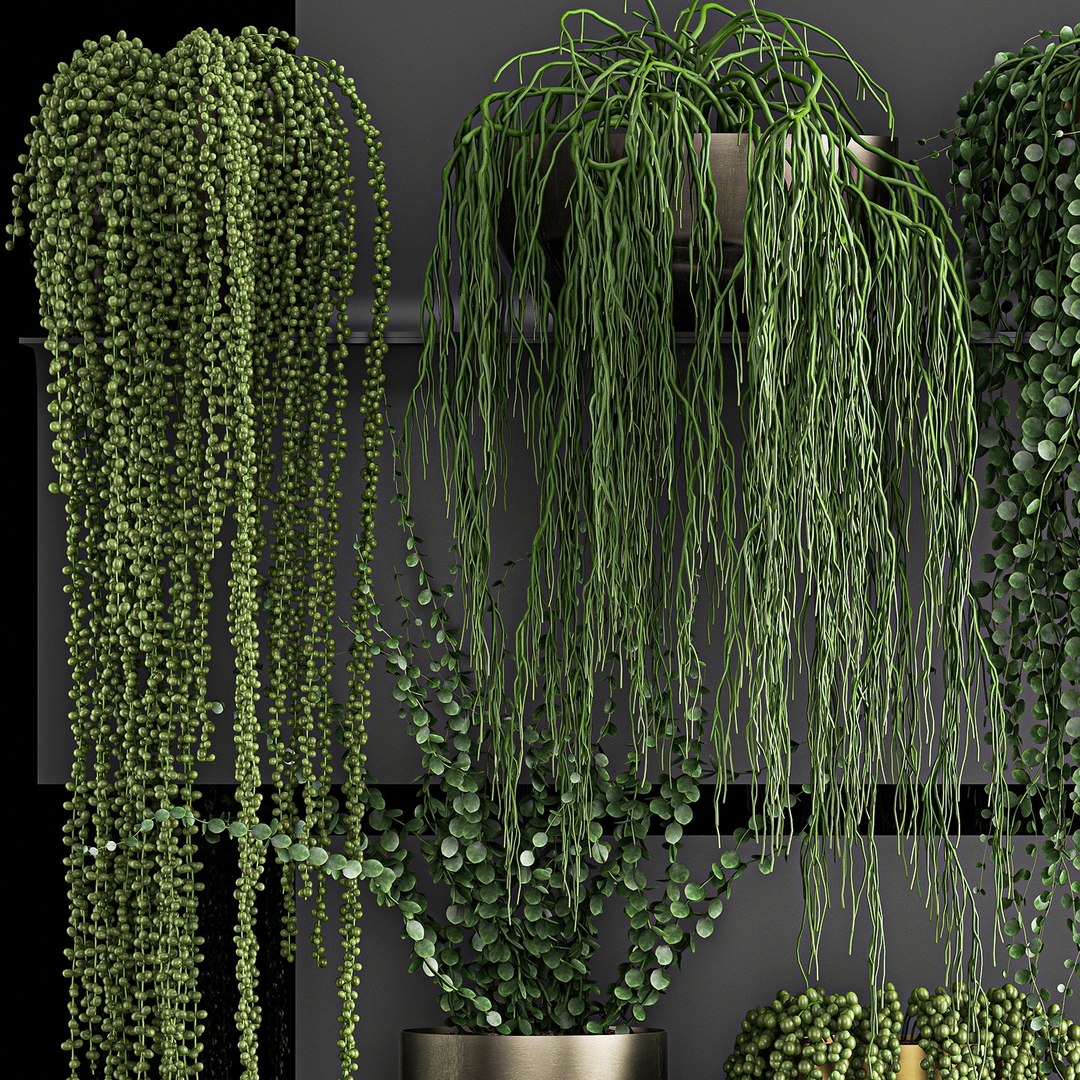 vertical gardening wall shelves 3D model https://p.turbosquid.com/ts-thumb/mE/UvUkbV/EfRk5EKQ/plant1205202003/jpg/1589373276/1920x1080/fit_q87/36261e57ca93b49774345d874aceec27b3703f36/plant1205202003.jpg