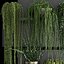 Vertical gardening on wall shelves 61