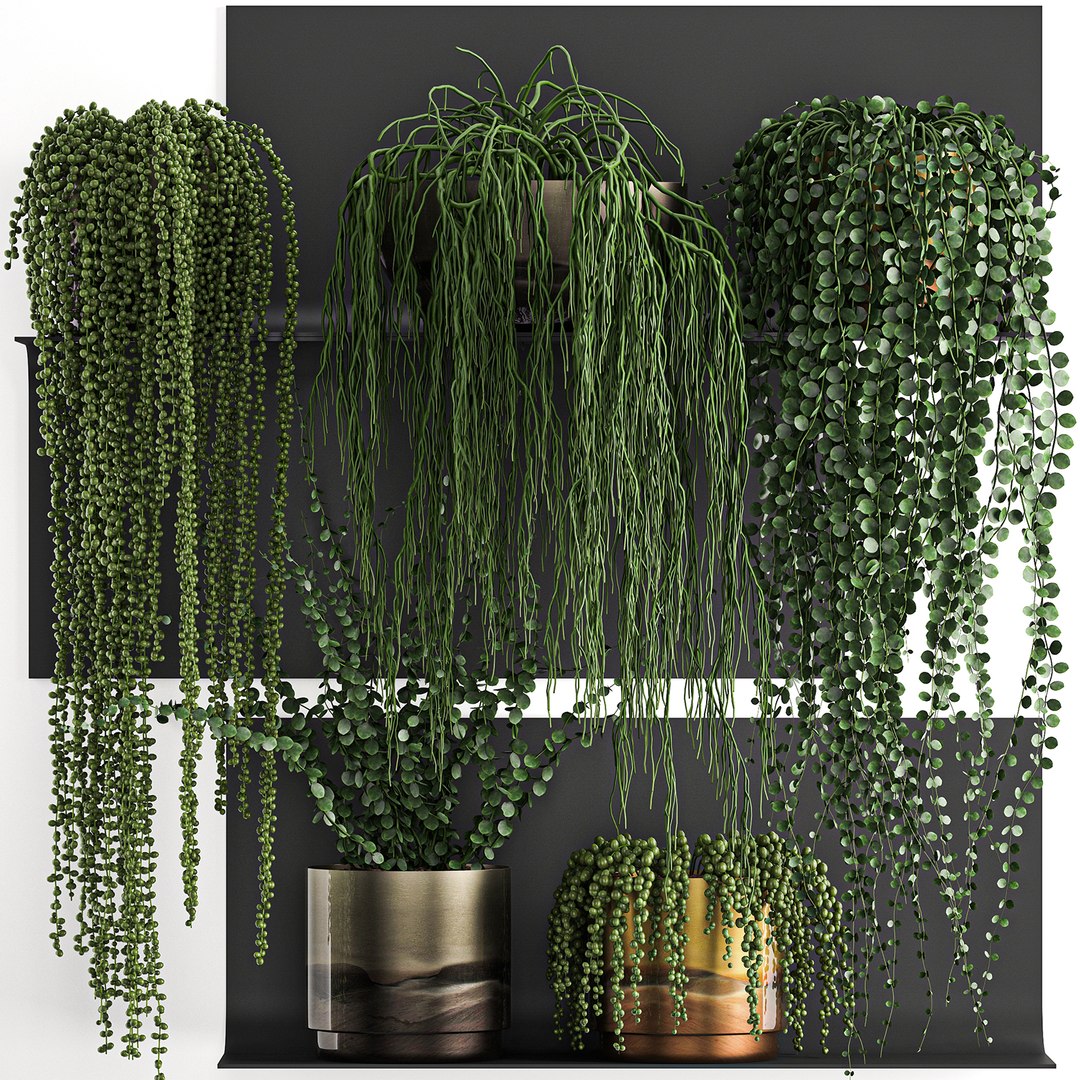 vertical gardening wall shelves 3D model https://p.turbosquid.com/ts-thumb/mE/UvUkbV/KJwcm5uv/plant1205202004/jpg/1589373276/1920x1080/fit_q87/c9e4067032ab46bd931d00ccfaac00a30356ce30/plant1205202004.jpg