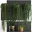 Vertical gardening on wall shelves 61