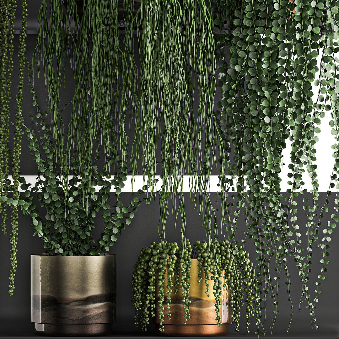 vertical gardening wall shelves 3D model https://p.turbosquid.com/ts-thumb/mE/UvUkbV/NhqlTQbZ/plant1205202005/jpg/1589373276/1920x1080/fit_q87/80ea9c6bc8afa5db7a71cfc30a2ff2726f93b2b9/plant1205202005.jpg