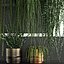 Vertical gardening on wall shelves 61