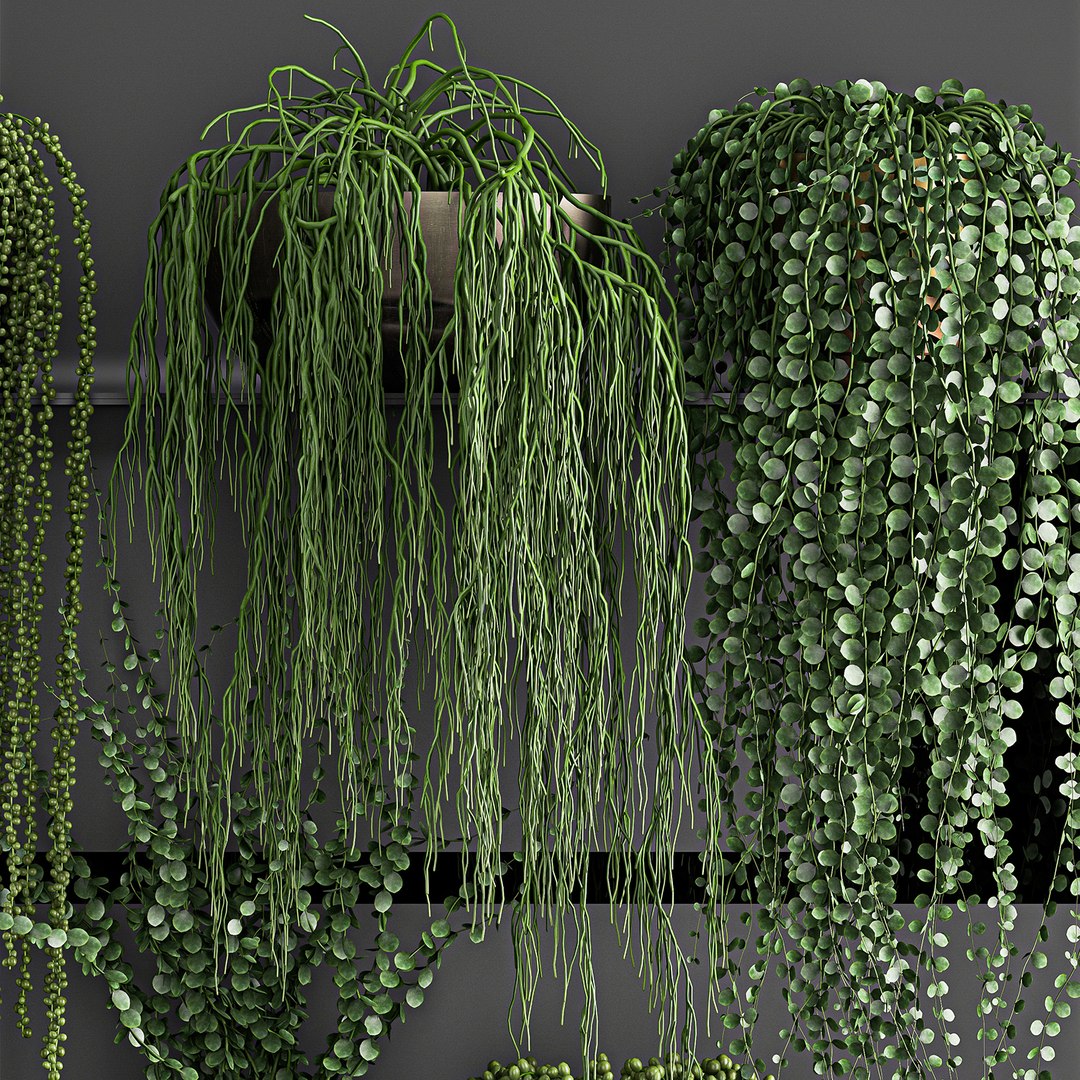vertical gardening wall shelves 3D model https://p.turbosquid.com/ts-thumb/mE/UvUkbV/lplyBiC4/plant1205202002/jpg/1589373276/1920x1080/fit_q87/0f6c71a39ceacdad10541ed22cac0a18a90ebc7c/plant1205202002.jpg