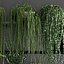 Vertical gardening on wall shelves 61