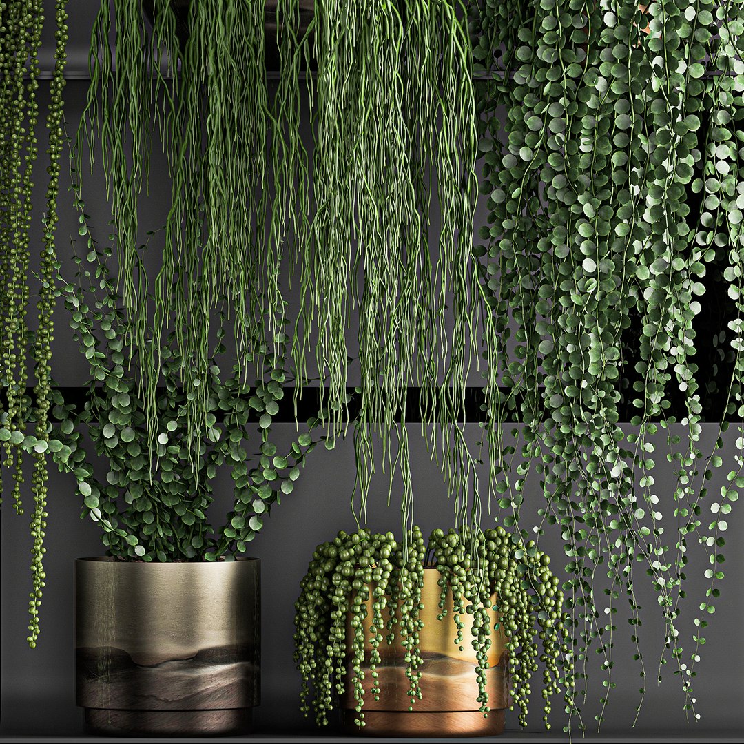 vertical gardening wall shelves 3D model https://p.turbosquid.com/ts-thumb/mE/UvUkbV/tqSmOz7G/plant1205202001/jpg/1589373276/1920x1080/fit_q87/dc4ae15ab6de4989f81dbc71bdf1ed2eea1c0e97/plant1205202001.jpg