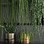 Vertical gardening on wall shelves 61