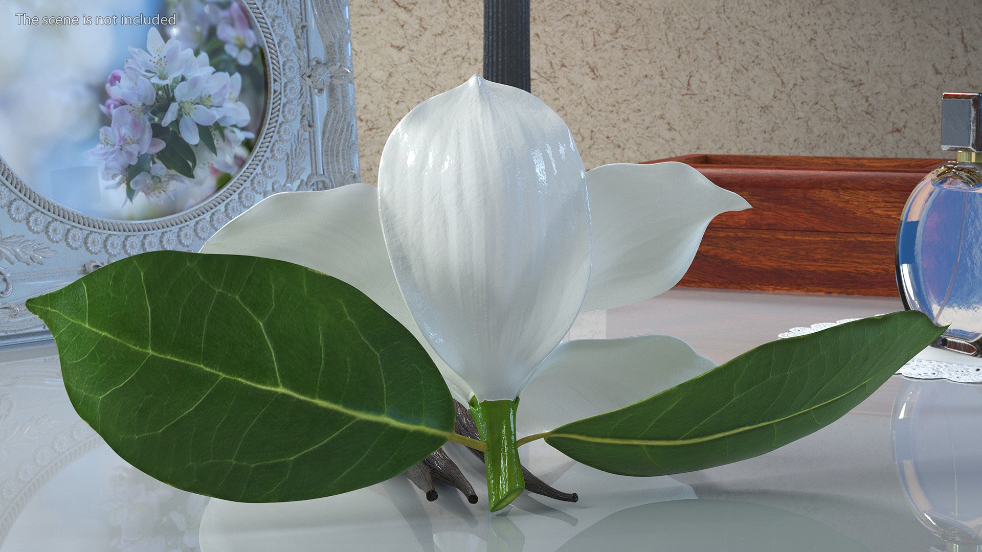 Hybrid Orchid Vanilla with Vanilla Sticks model https://p.turbosquid.com/ts-thumb/mE/eBHS7t/0T/hybridorchidvanillawithvanillasticks3dmodel006/jpg/1688471233/1920x1080/fit_q87/d71a27a33e9e7256276b5ba449115ad64bae5cc8/hybridorchidvanillawithvanillasticks3dmodel006.jpg