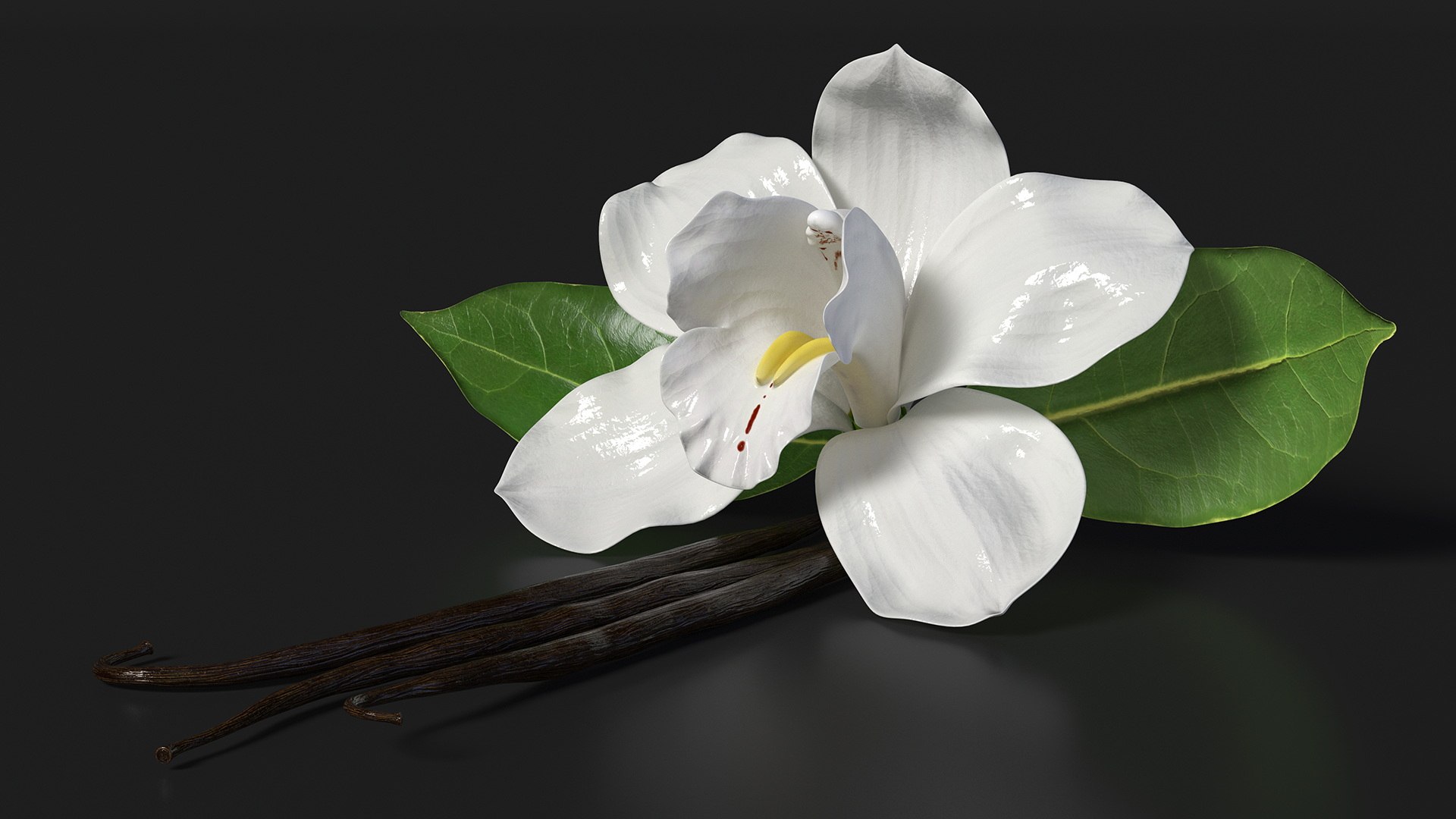 Hybrid Orchid Vanilla with Vanilla Sticks model https://p.turbosquid.com/ts-thumb/mE/eBHS7t/Ew/hybridorchidvanillawithvanillasticks3dmodel007/jpg/1688471238/1920x1080/fit_q87/93ee45519c238cc410f18d903dbe5bff8b1478b9/hybridorchidvanillawithvanillasticks3dmodel007.jpg
