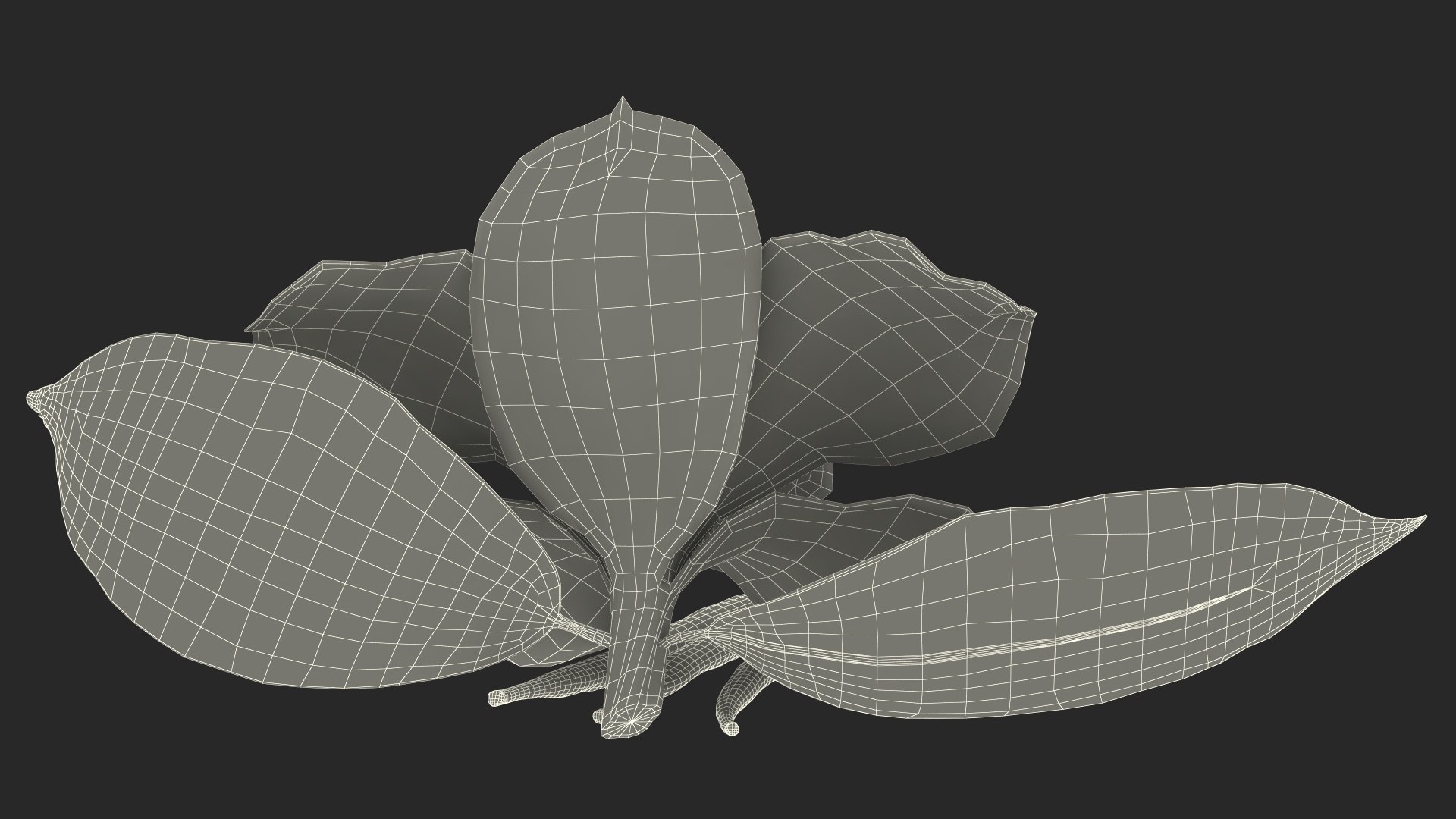 Hybrid Orchid Vanilla with Vanilla Sticks model https://p.turbosquid.com/ts-thumb/mE/eBHS7t/Kl/hybridorchidvanillawithvanillasticks3dmodel027/jpg/1688471330/1920x1080/fit_q87/957709b14d9e91685f0b58869598ceae4ddff23b/hybridorchidvanillawithvanillasticks3dmodel027.jpg