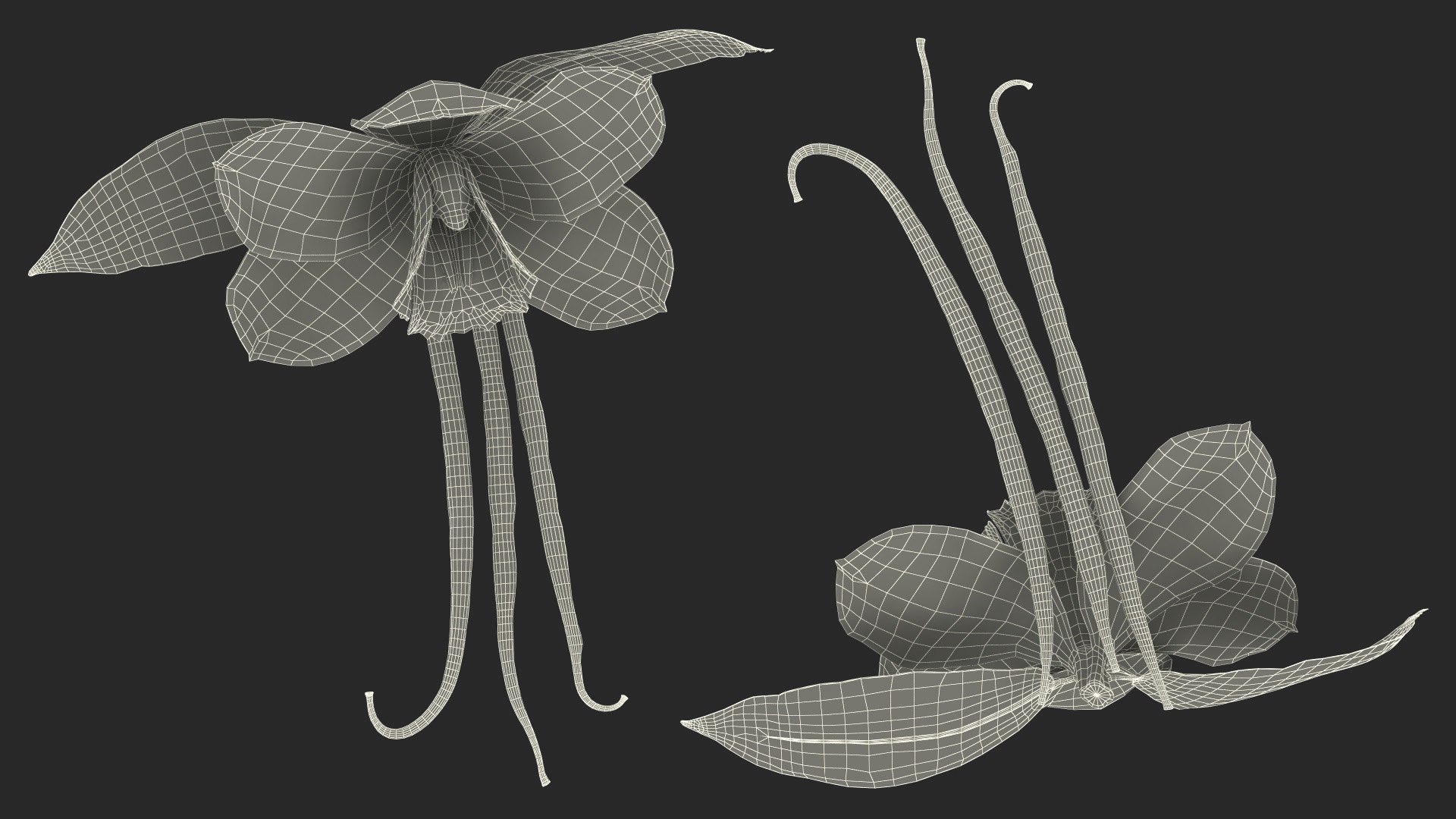 Hybrid Orchid Vanilla with Vanilla Sticks model https://p.turbosquid.com/ts-thumb/mE/eBHS7t/L2/hybridorchidvanillawithvanillasticks3dmodel028/jpg/1688471335/1920x1080/fit_q87/d8fd14f60f5016b2341cb7385009178e2ce4aed4/hybridorchidvanillawithvanillasticks3dmodel028.jpg