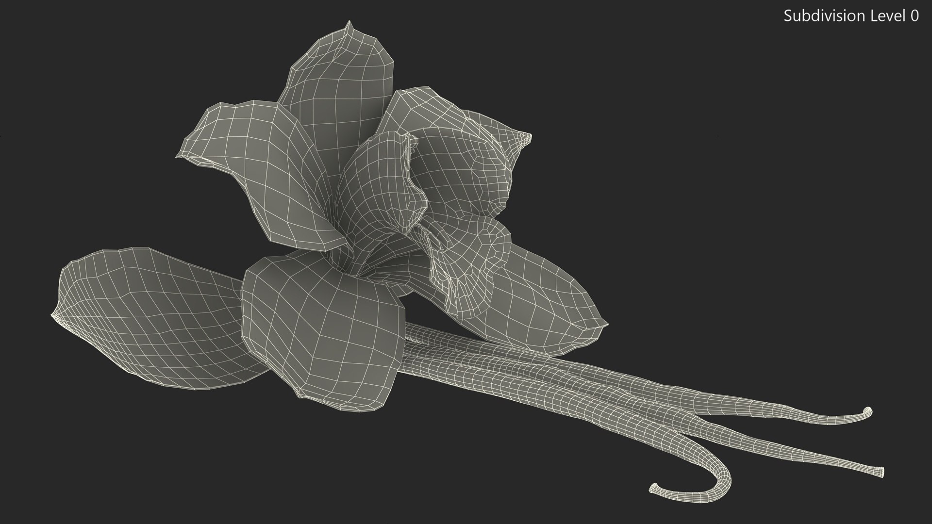 Hybrid Orchid Vanilla with Vanilla Sticks model https://p.turbosquid.com/ts-thumb/mE/eBHS7t/Nq/hybridorchidvanillawithvanillasticks3dmodel017/jpg/1688471285/1920x1080/fit_q87/a095608e7202657aba864ad48d29a4db0cc381ac/hybridorchidvanillawithvanillasticks3dmodel017.jpg