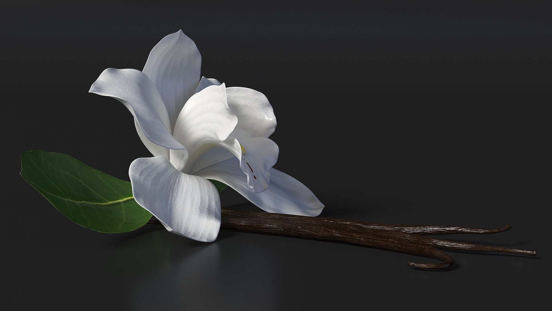 Hybrid Orchid Vanilla with Vanilla Sticks model https://p.turbosquid.com/ts-thumb/mE/eBHS7t/Sj/hybridorchidvanillawithvanillasticks3dmodel008/jpg/1688471242/1920x1080/fit_q87/6b770e9a88a5b5a6e6968b37a31e8c28dce5b0a9/hybridorchidvanillawithvanillasticks3dmodel008.jpg
