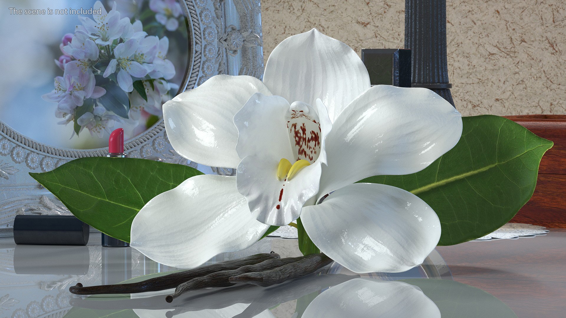 Hybrid Orchid Vanilla with Vanilla Sticks model https://p.turbosquid.com/ts-thumb/mE/eBHS7t/XC/hybridorchidvanillawithvanillasticks3dmodel002/jpg/1688471212/1920x1080/fit_q87/e6d17c0128db8fe5dd20b3d268f63e0aaa7f79ef/hybridorchidvanillawithvanillasticks3dmodel002.jpg
