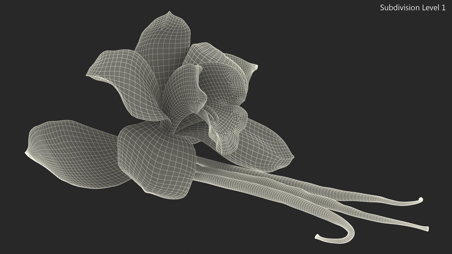 Hybrid Orchid Vanilla with Vanilla Sticks model https://p.turbosquid.com/ts-thumb/mE/eBHS7t/Zt/hybridorchidvanillawithvanillasticks3dmodel018/jpg/1688471290/1920x1080/fit_q87/fdcb483584fe166696a91a1ba6706f76f71b1291/hybridorchidvanillawithvanillasticks3dmodel018.jpg