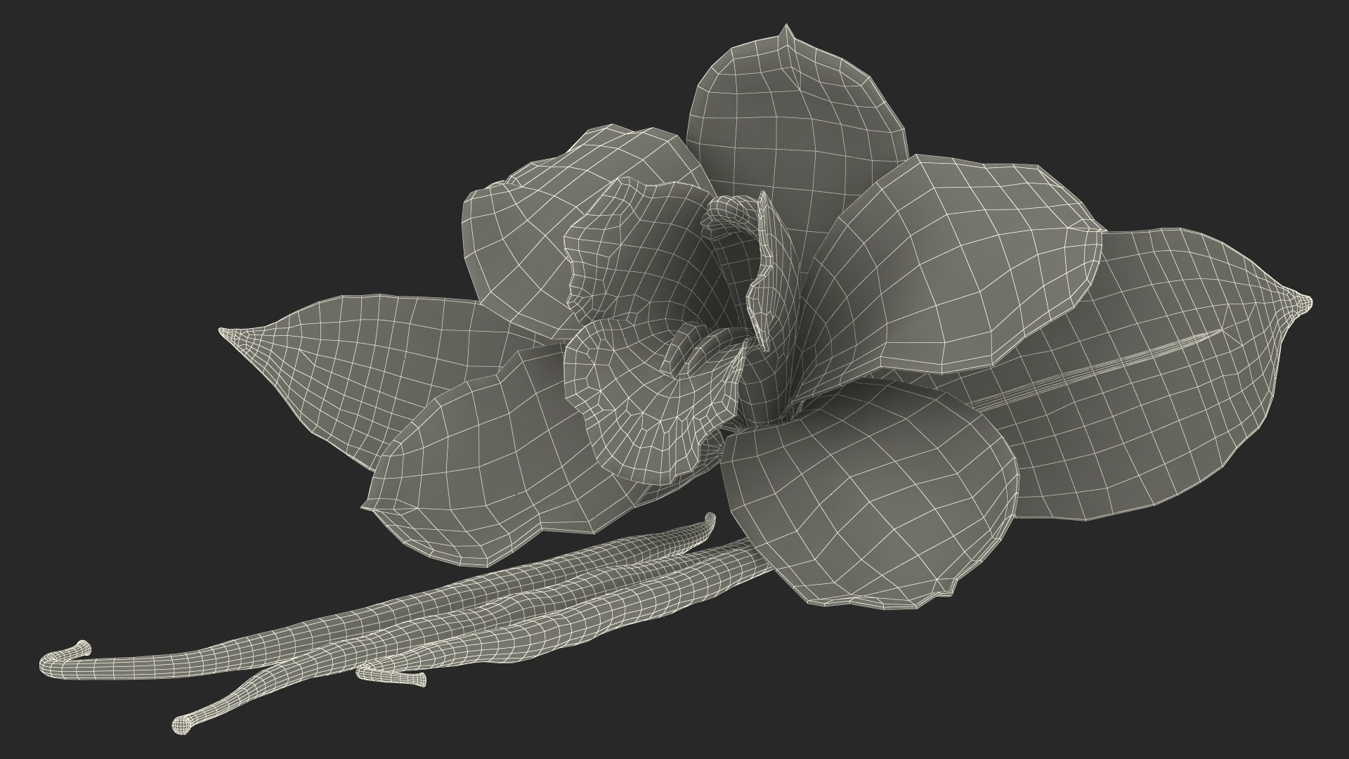 Hybrid Orchid Vanilla with Vanilla Sticks model https://p.turbosquid.com/ts-thumb/mE/eBHS7t/hG/hybridorchidvanillawithvanillasticks3dmodel026/jpg/1688471325/1920x1080/fit_q87/0f82e6f5cb5bd525ba48ebd50eaba76aca3ede0d/hybridorchidvanillawithvanillasticks3dmodel026.jpg