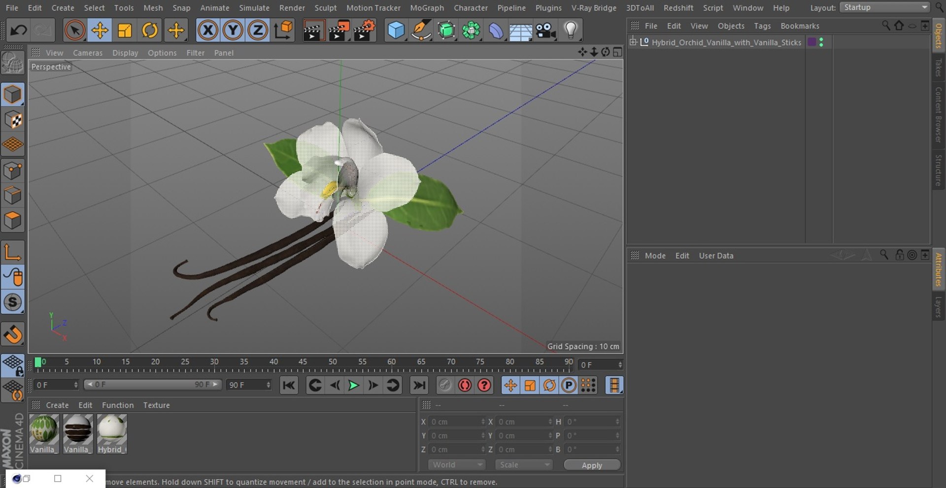 Hybrid Orchid Vanilla with Vanilla Sticks model https://p.turbosquid.com/ts-thumb/mE/eBHS7t/m7/hybridorchidvanillawithvanillasticks3dmodel023/jpg/1688471313/1920x1080/fit_q87/6e9c05182e55bd7e2b6312326110f04020f794c8/hybridorchidvanillawithvanillasticks3dmodel023.jpg