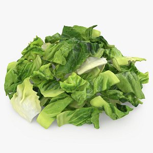 Pile Chopped Fresh Lettuce