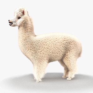 obj alpaca